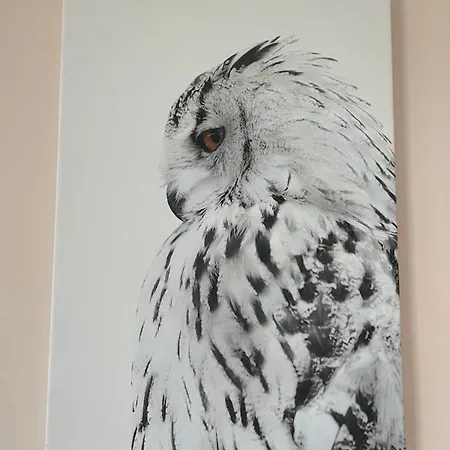 Le Nid De La Chouette By