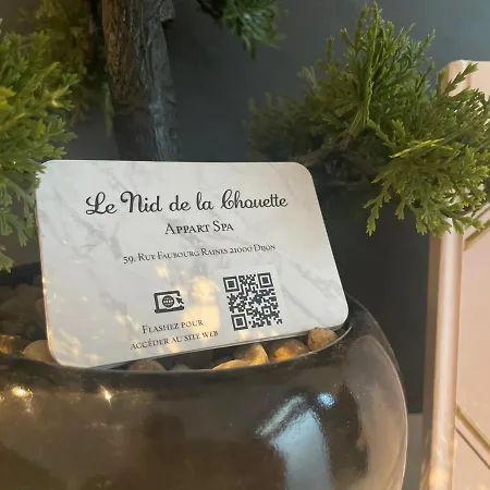 Le Nid De La Chouette - Gare & Cite By Apartment Dijon