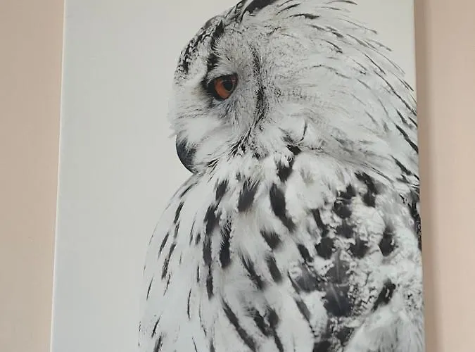 Le Nid De La Chouette By